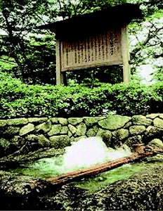 加賀野八幡神社井戸自噴水
