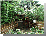 牡丹園の入り口の写真