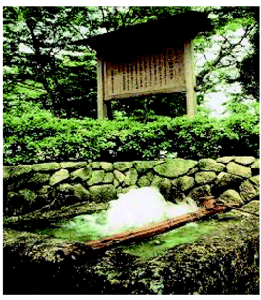 加賀野八幡神社井戸