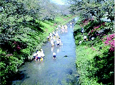 河川清掃・ホタル保護活動