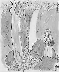 養老の滝の画像