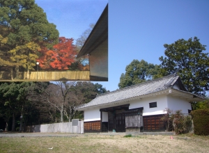旗本西高木家陣屋と高雄のもみじ