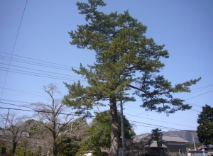 宝暦治水伝 波闘