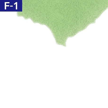 F-1（上石津地域）