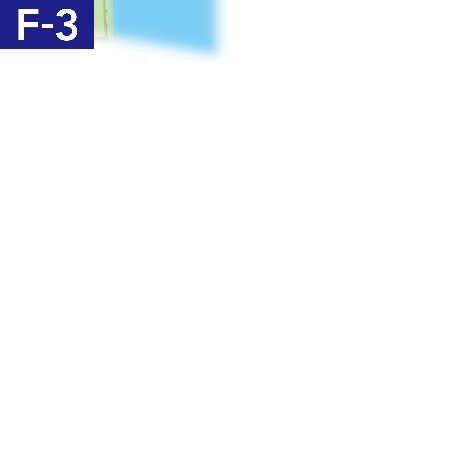 F-3（墨俣地域）