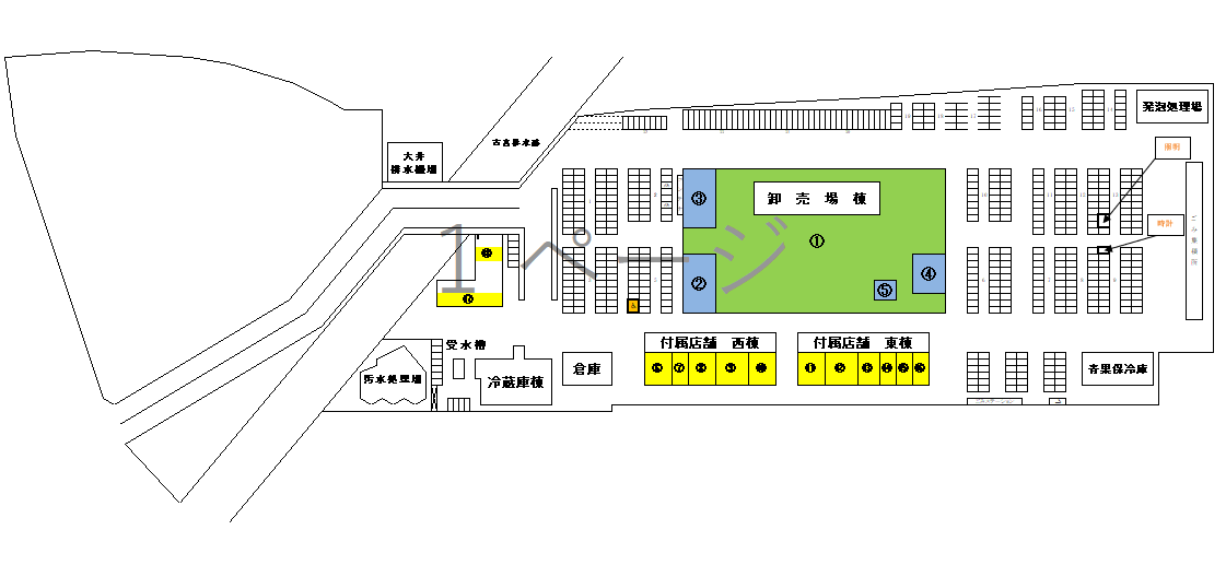 公設地方卸売市場