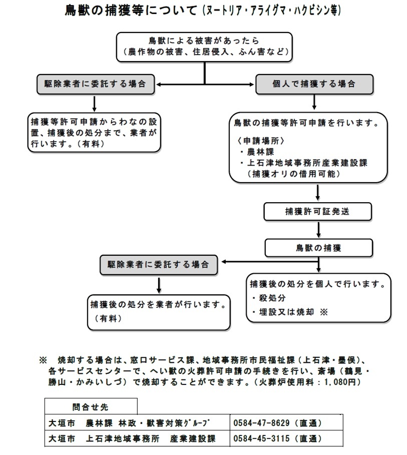 鳥獣被害でお困りの方へ 大垣市公式ホームページ 水の都おおがき