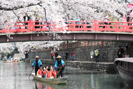 桜のトンネルをくぐる舟