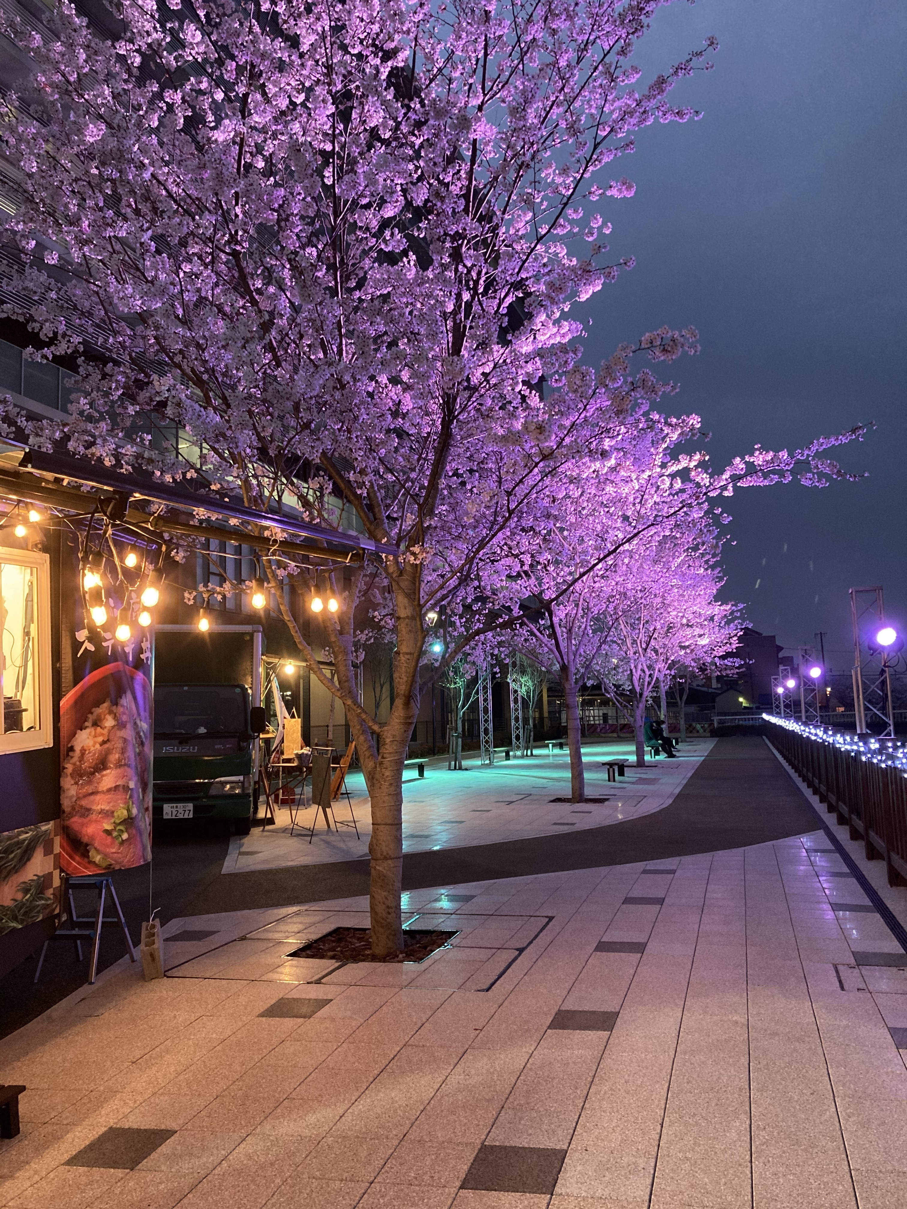 LIGHT UP の風景（大垣市役所西側）