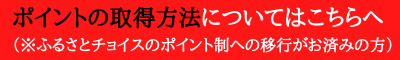 ポイント取得はこちら