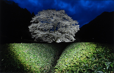 【写真】
