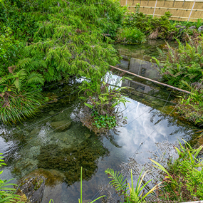 西之川ハリヨの池広場(西之川町)の写真