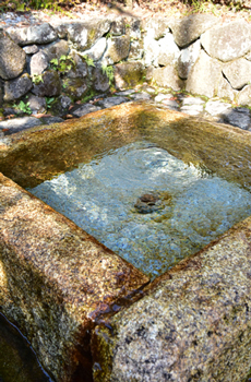 湧き水