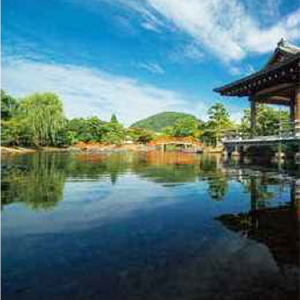 紫式部公園の写真