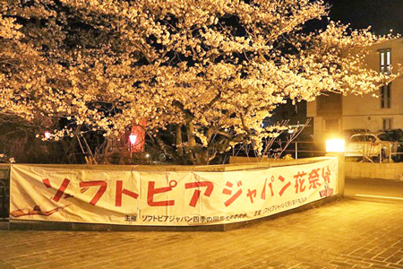 ソフトピアジャパン花祭り