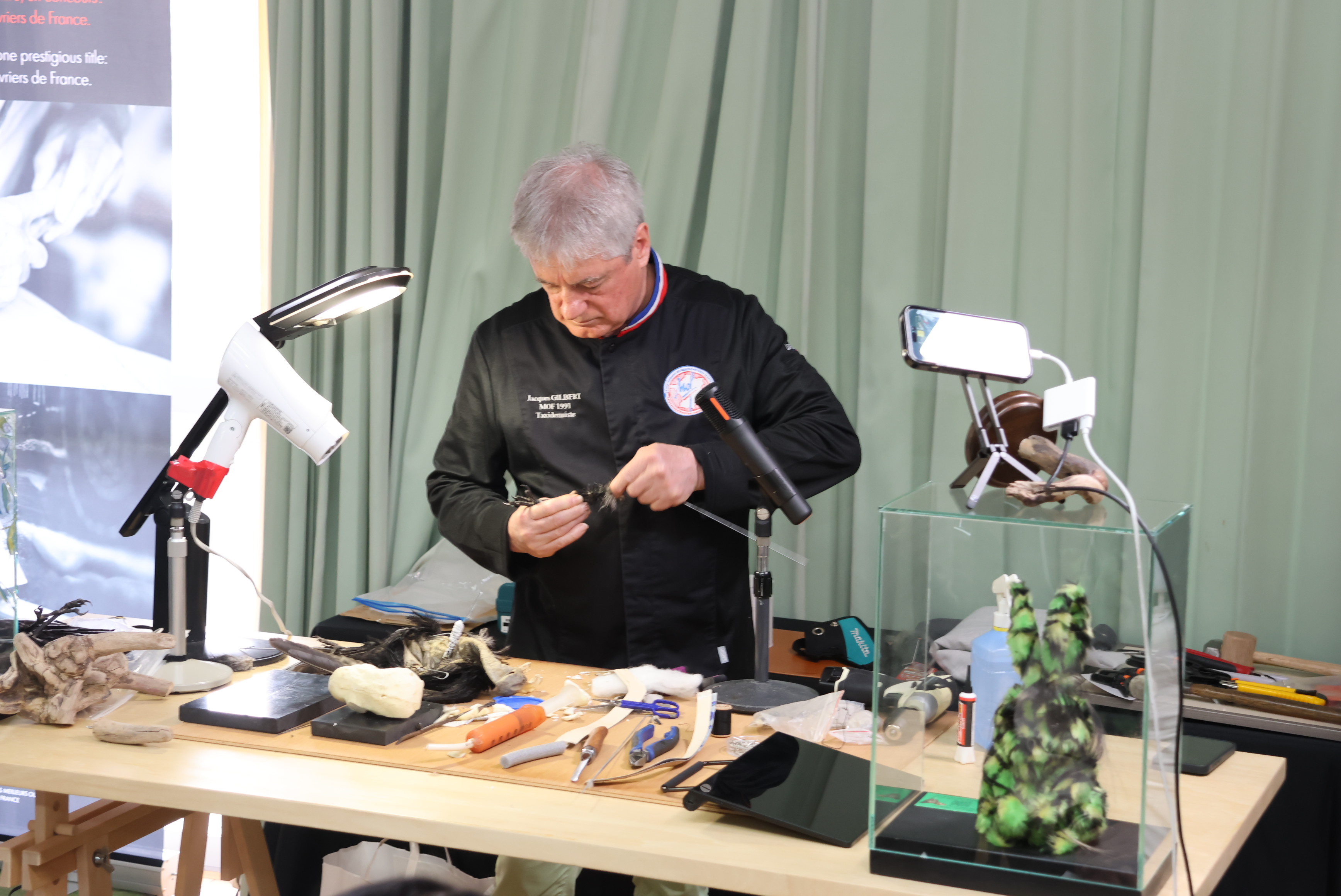 はく製デモンストレーション