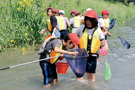 川にすむ生き物を探す