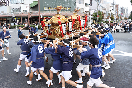 威勢のよい常葉神社のみこし