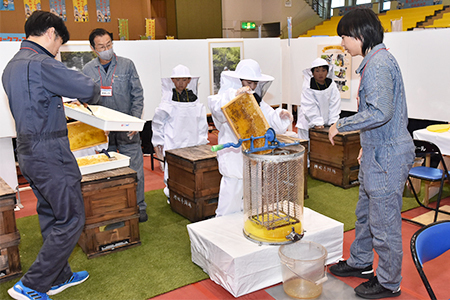 養蜂家の仕事体験