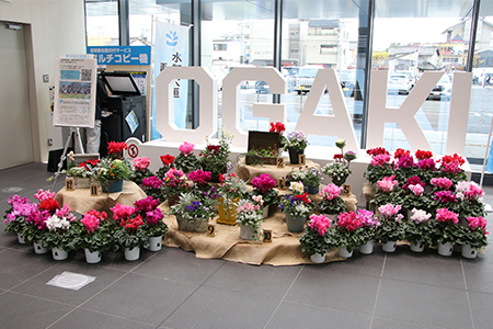 大垣養老高校生徒さんによる冬の寄せ植え飾り