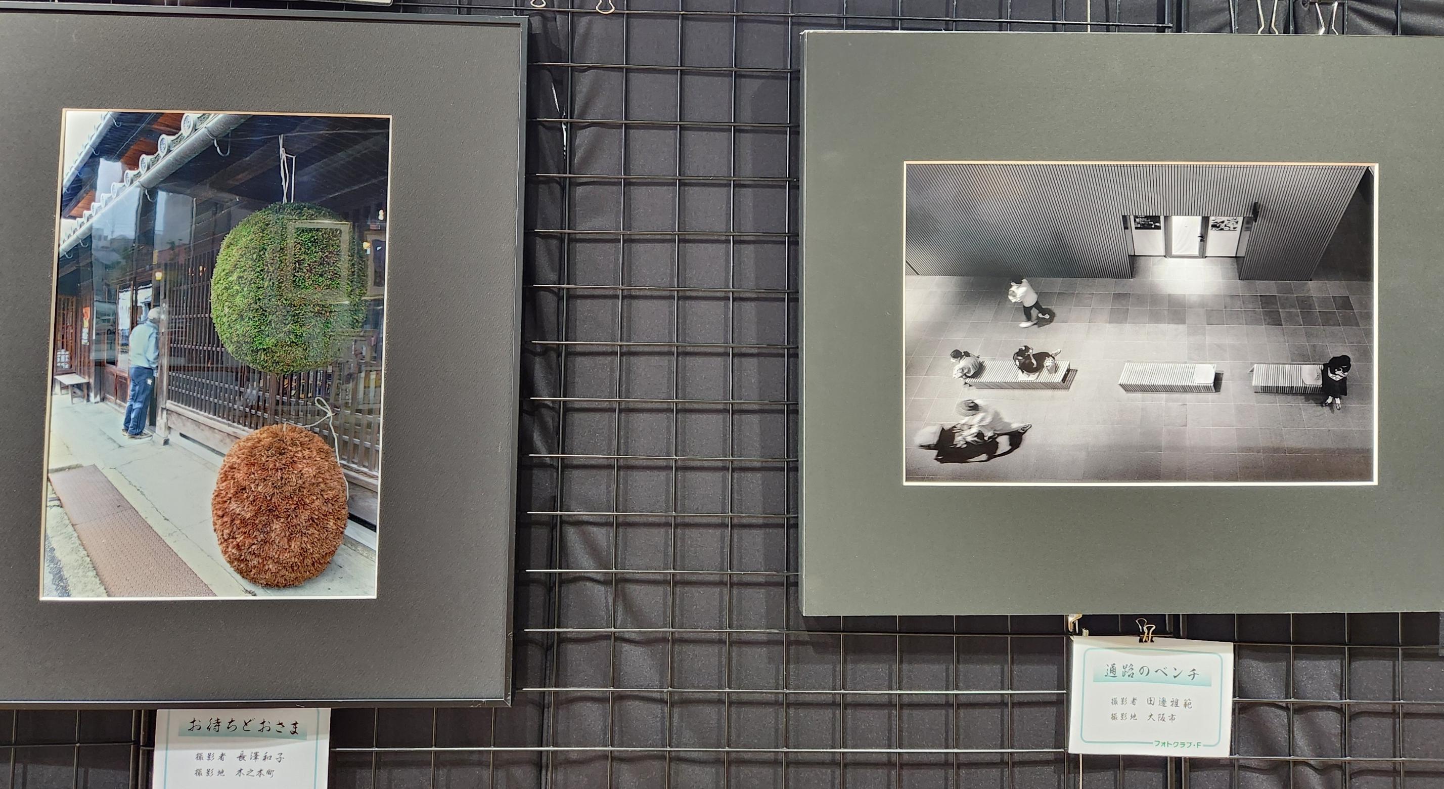 フォトクラブ・F1