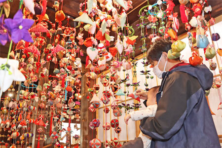 飾られたつりびなを眺める親子