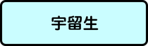 宇留生地区