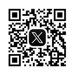 公式X