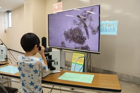 微生物の顕微鏡観察